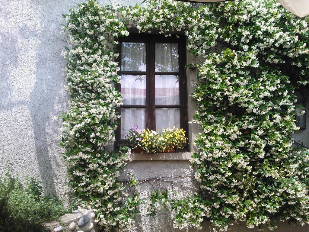 Agriturismo Cassinazza Orsenigo Стая снимка