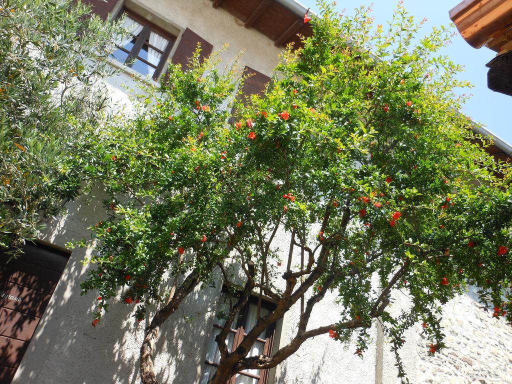Agriturismo Cassinazza Orsenigo Екстериор снимка