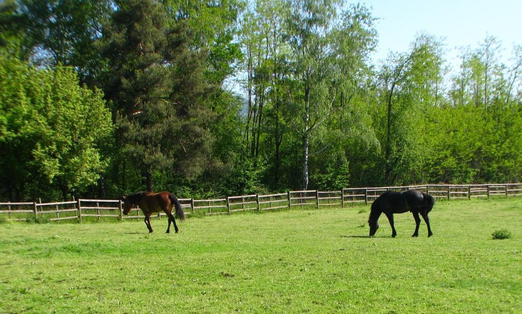Agriturismo Cassinazza Orsenigo Екстериор снимка